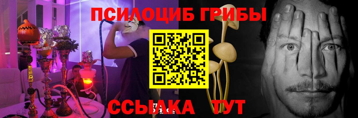 Псилоцибиновые грибы Psilocybe  Вход с VPN  Джанкой 